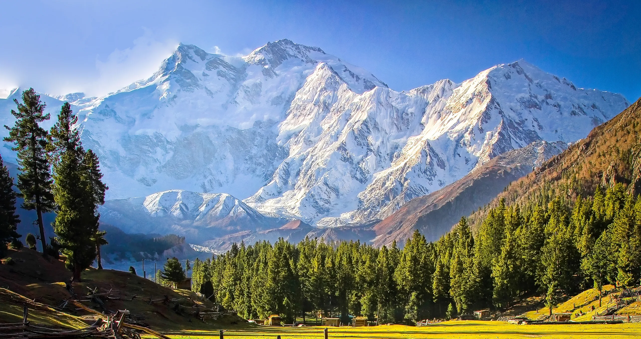 Nanga Parbat